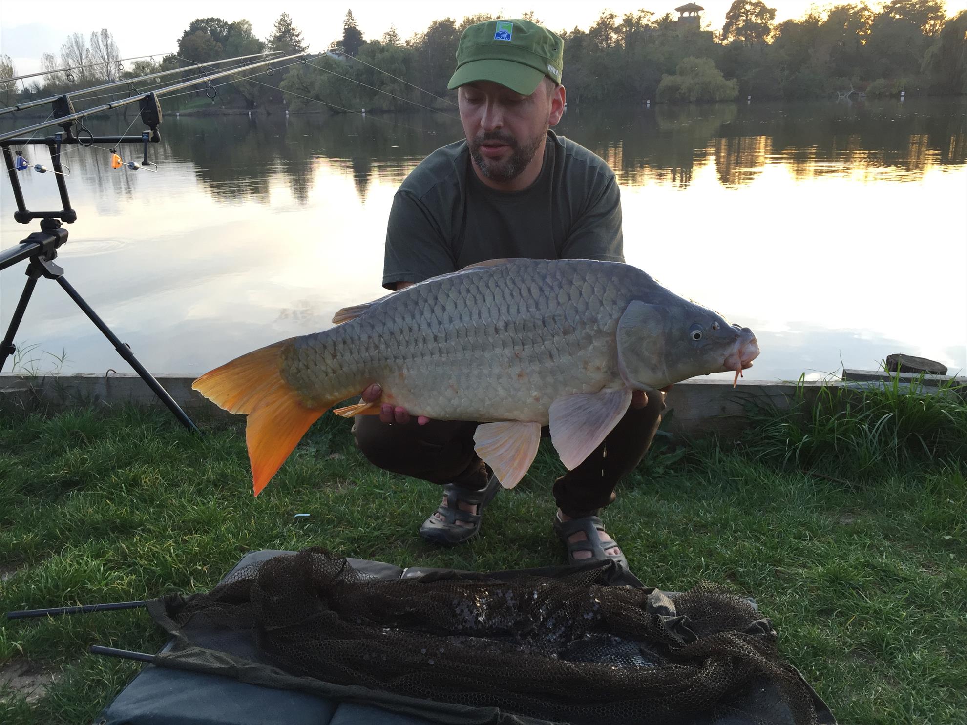 Hermes Peris - Octombrie 2014 - img3759.JPG